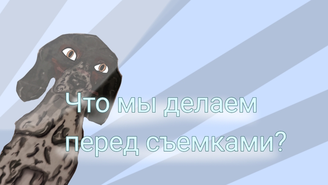 Что мы делаем перед съемками? Собаки тайно съели вкусняшки ? Пробное видио с озвучкой! 🩵