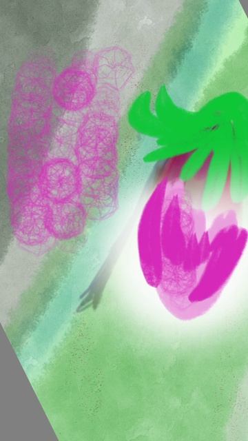 цветные водоросли . картинка без звука