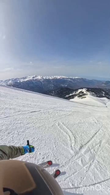 B7ff4bc9b1509e56bd38d33c5b9ed4c1