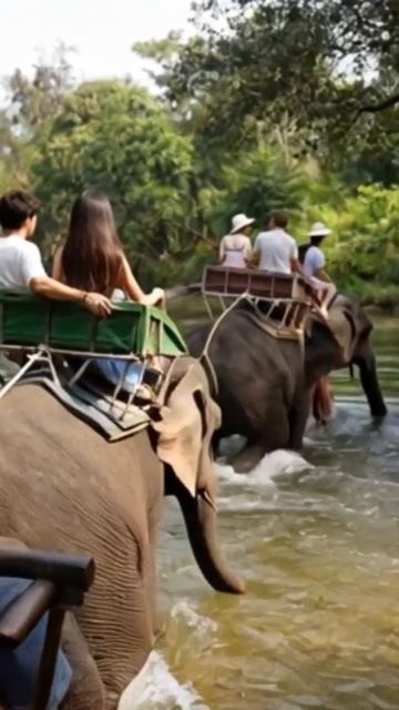 В 60 лет слон хоботом поднял меня