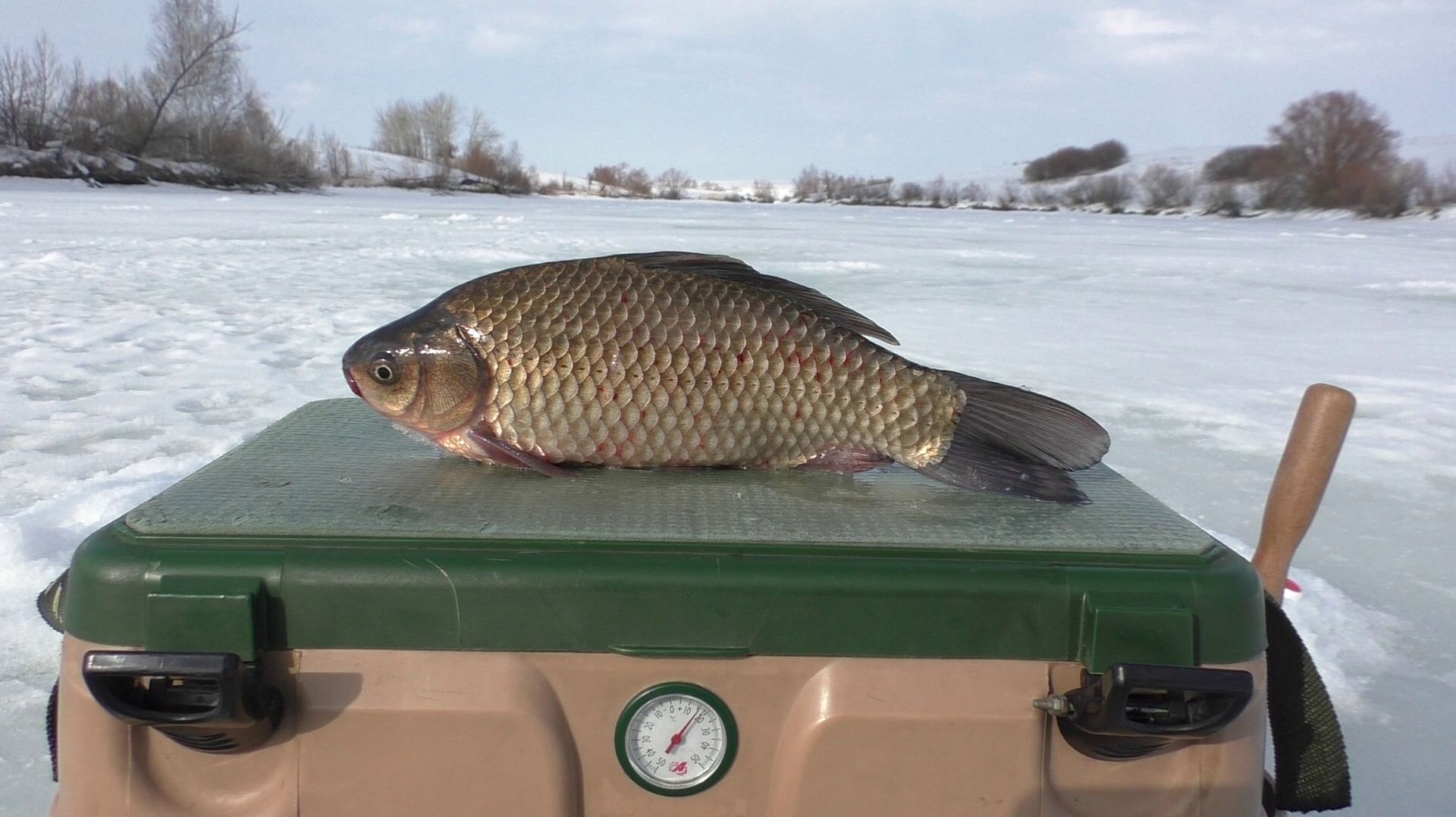 ПЕРВЫЙ ВЕСЕННИЙ КАРАСЬ 2026. РЫБАЛКА ВЕСНОЙ НА КАРАСЯ СО ЛЬДА.