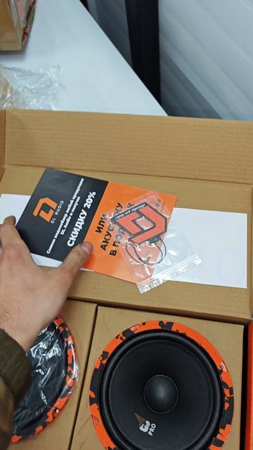 Обзор и прослушка динамиков Dl Audio Gryphon Pro 165 Midbass