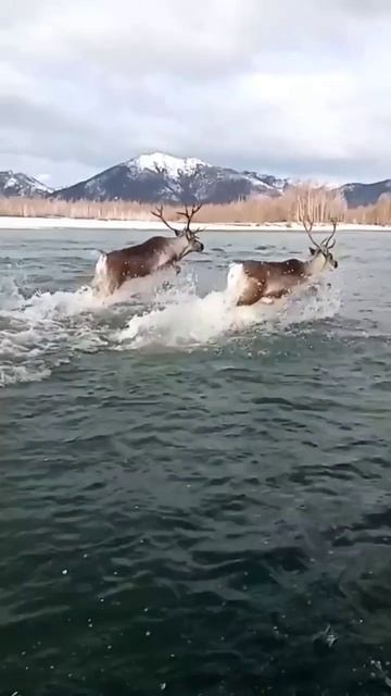 112ab1f5bc48ba108d284227d01f1ddb