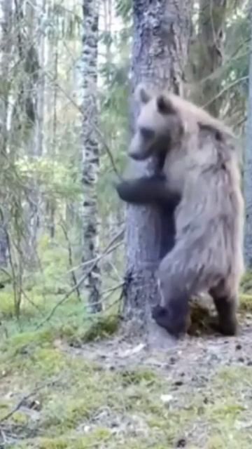 96940e62b4943e99a4162947ba7cda05