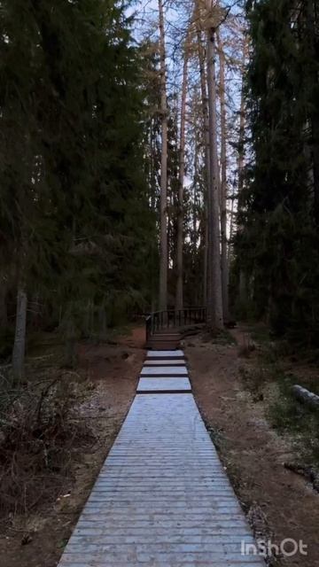 загородная доходная недвижимость на Севере Санкт-Петербурга #недвижимость