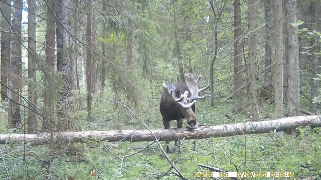 9886c750fcbe5ef37d37a9cd9583c2b9