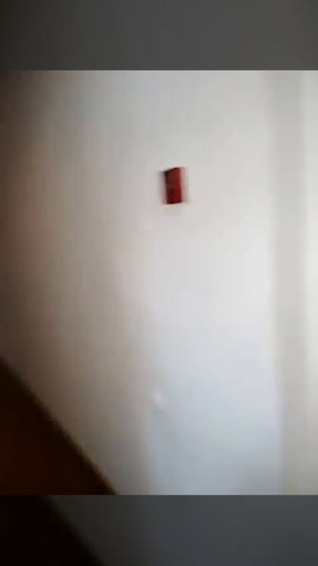 12432155762566