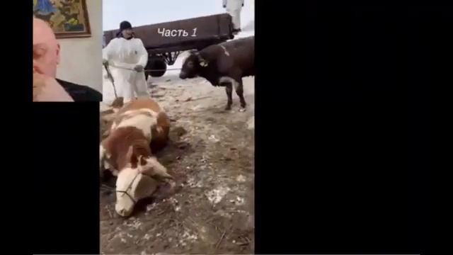 🔴МИР СТОИТ НА ПОРОГЕ ЧУДОВИЩНОГО КРИЗИСА! Мыслящие из мира, свидетельствуют о том, о чем молчат АСД