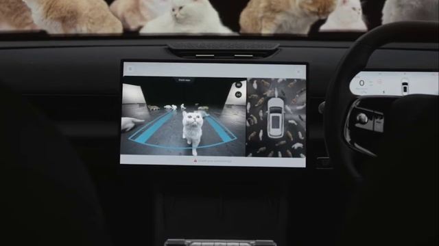 Видео от Кот Пикассо Патиссон