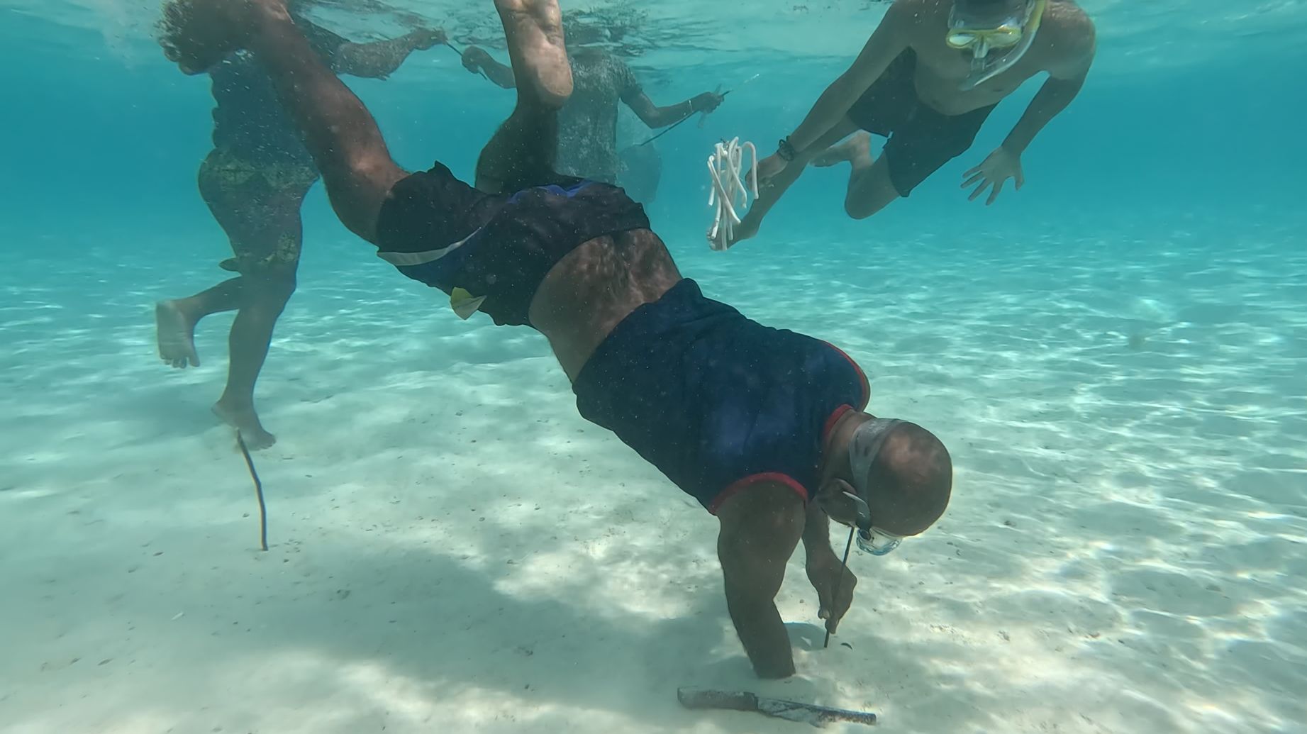 Подводная охота на морских червей в Индонезии