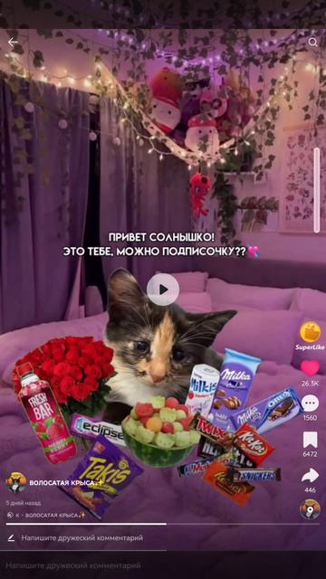 Lv_0_20260319220825.mp4