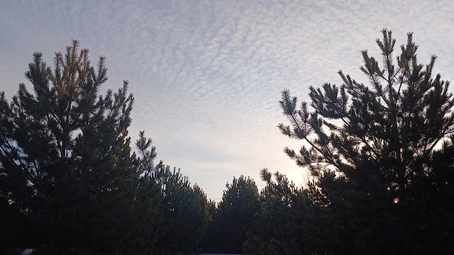 Доброе утро!