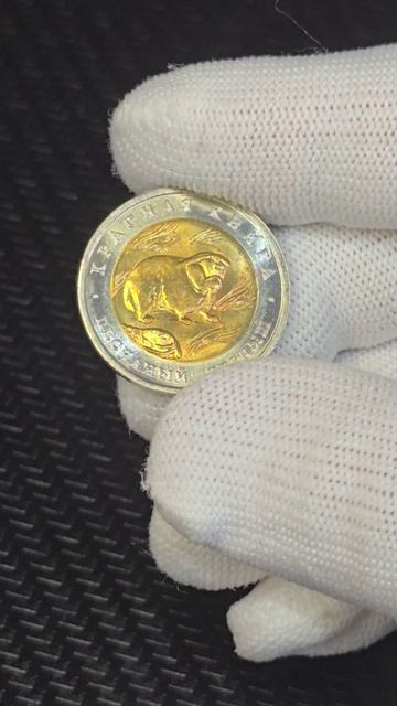 КРАСНАЯ КНИГА СЕРИЯ МОНЕТ I ПЕСЧАНЫЙ СЛЕПЫШ 50 рублей 1994 Года #юбилейныемонеты #краснаякнига #рек