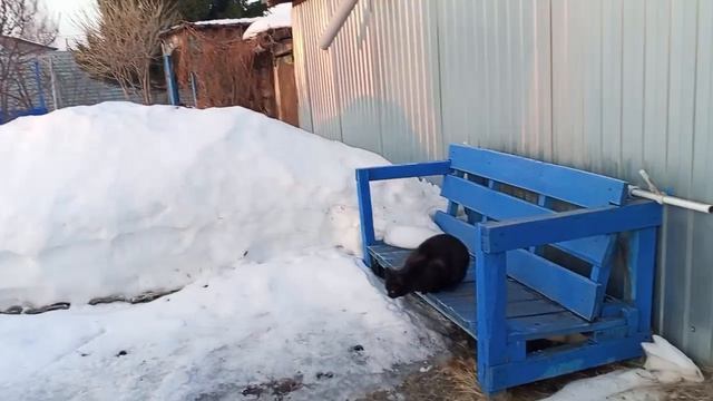 Подарки 🎁🎁🎁 на ДР. Готовые работы. Начало посевного сезона 🌱🌱🌱