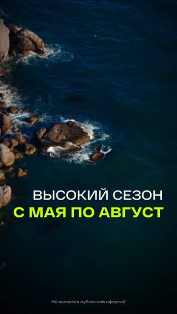 Какой доход приносит апартамент в Крыму?