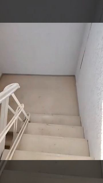12432273858438