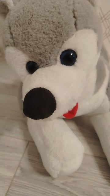 Хаски Проглотик теперь на рутубе