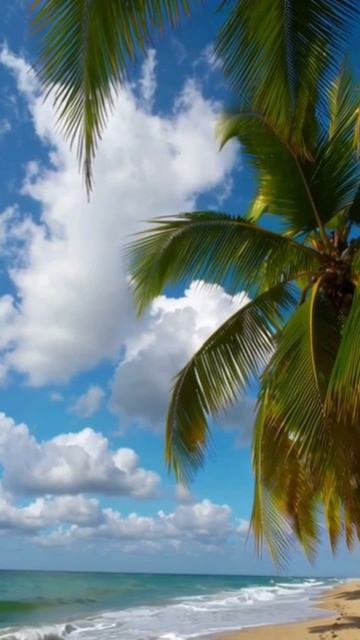 #пляж #природа #пейзаж #лето #отдых