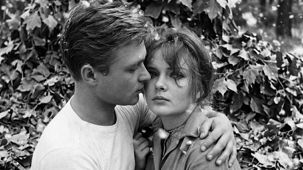 Тополя все в пуху (кавер-версия)..автор ролика Светлый