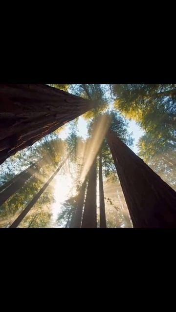 #природныечудеса #чудесаприроды #пейзажнаяфотография #экологическиечудеса #приключениянаприроде