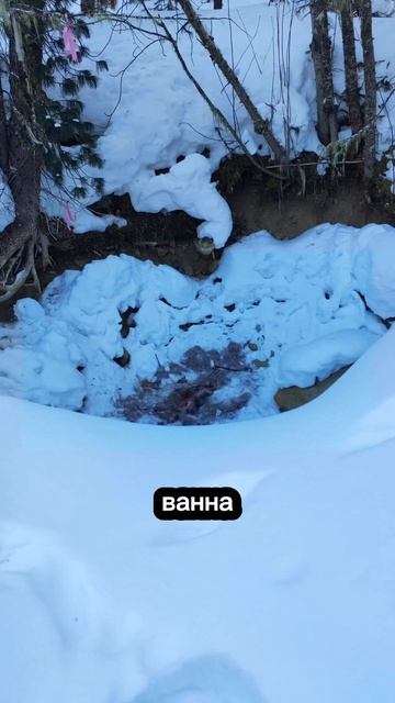 От увиденного в тайге пошли мурашки. Жойган. Минеральные источники.