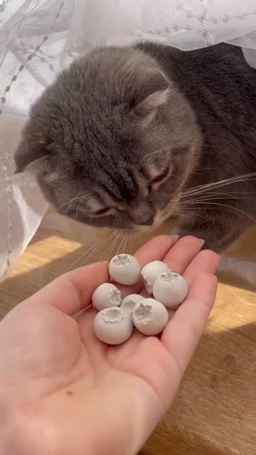 Создаем вазу из   Pinterest