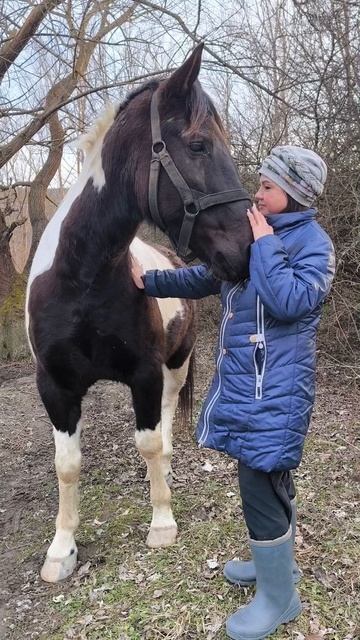 дорога домой