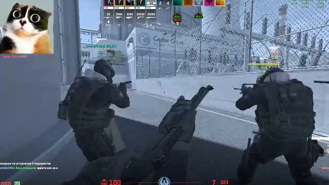 Играем в кс ночью (12 стрим помидорки)