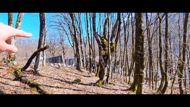 Участок Красная Поляна 20 сот