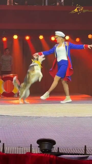 Восемь пушистых матросов и их очаровательная капитанша 🐶🐕