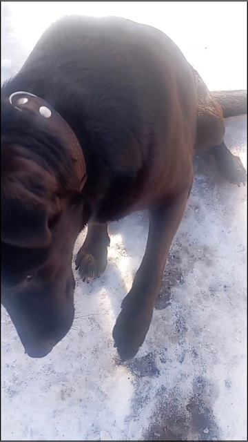 Команда стыдно