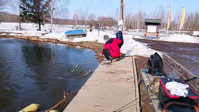 Фореливая рыбалка РК 