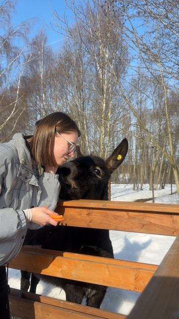 Насущные проблемы Жорика 🫏