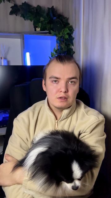 Бездействие пристава в отношение должника, как вернуть убытки? #исполнительноепроизводство #юрист