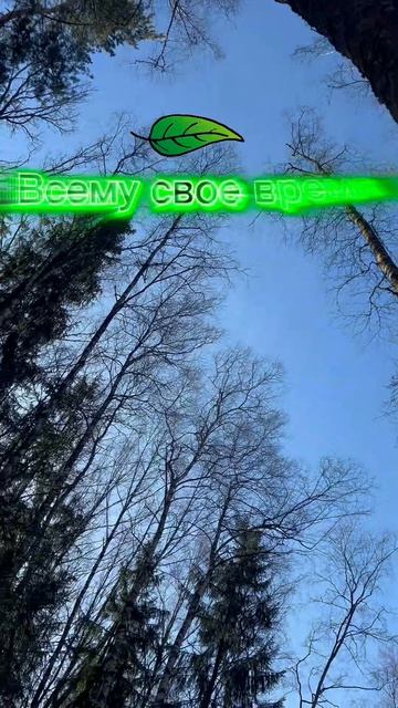 Конец марта,Подмосковье