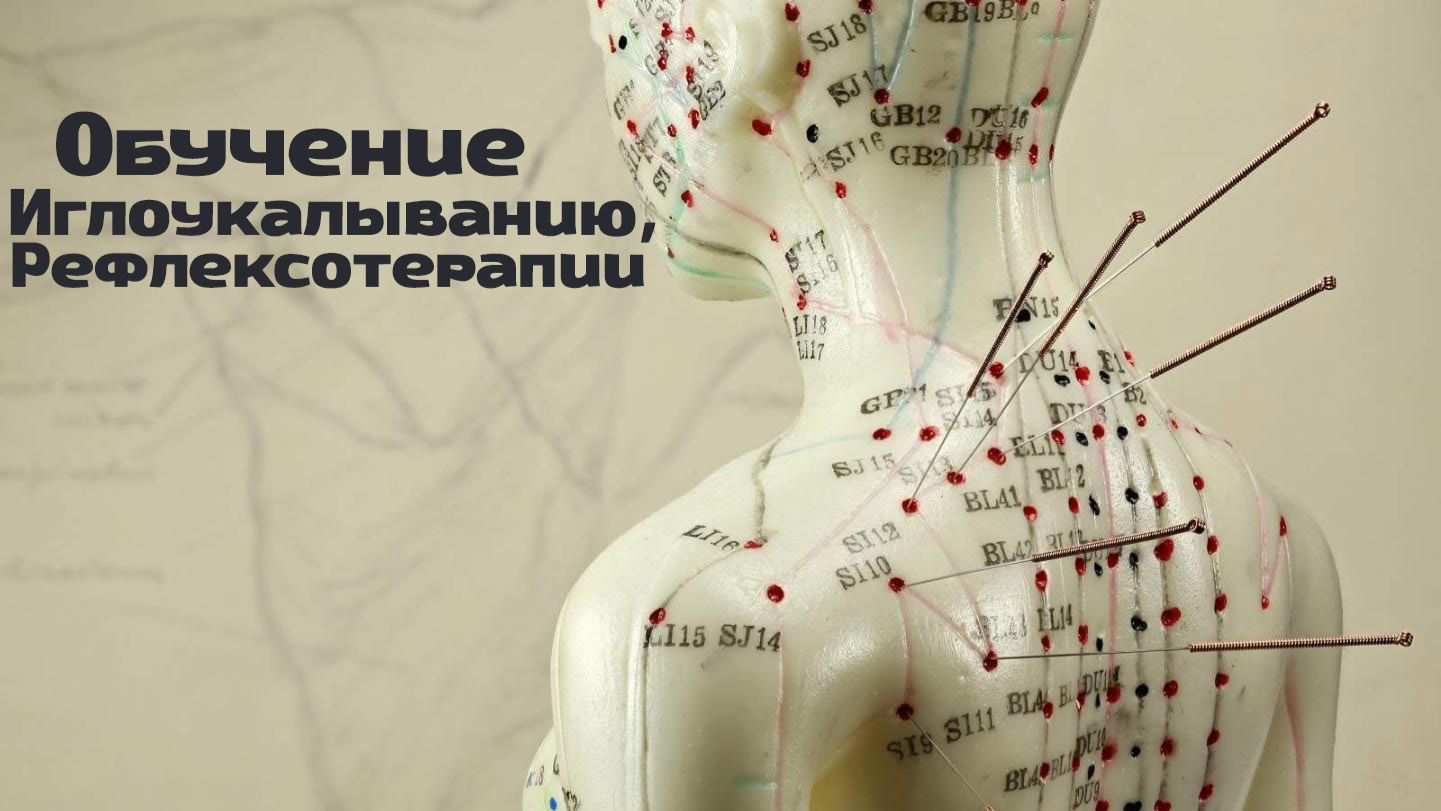 Обучение иглоукалыванию и рефлексотерапии в Сочи| Курсы акупунктуры