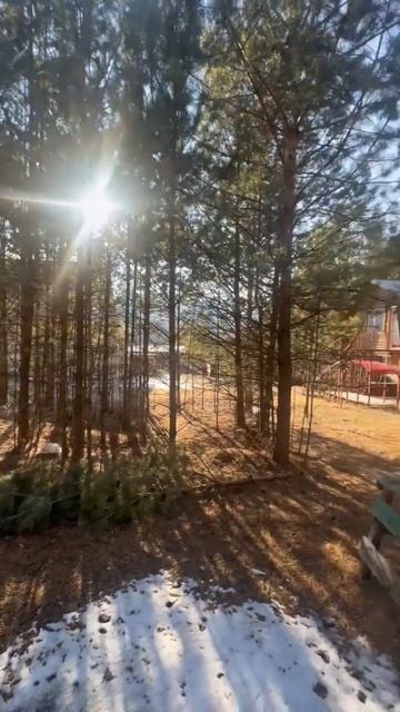 Ваша чемальская сказка