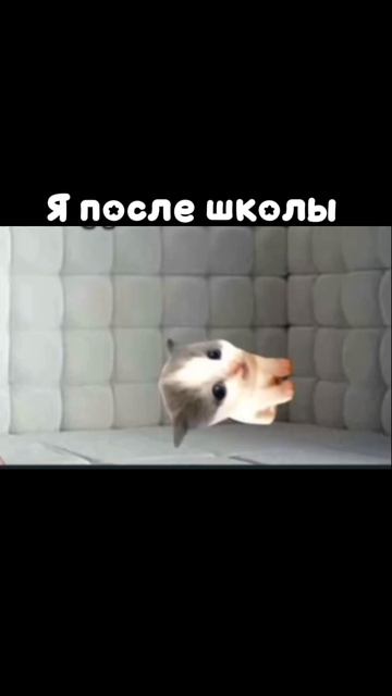 Кто понял тот понял