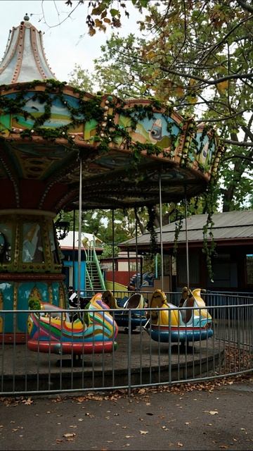 Забытые радости карусели #карусель #развлечения #парк