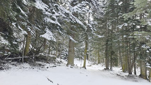 E3315f8d9099001739a0a910e9fb6c42