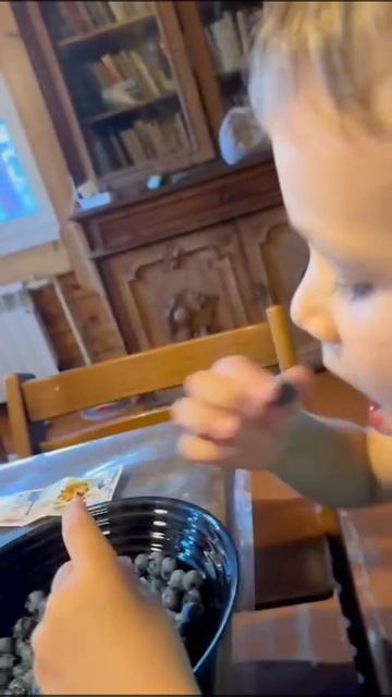 Самая вкусная голубика