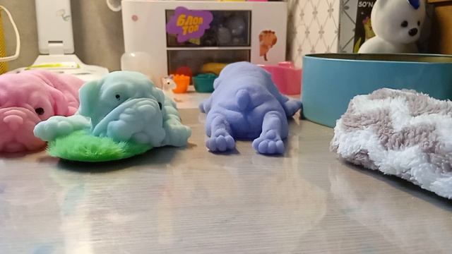 утро с сквиши собачками☀ поход к врачу 🏥 с дариной 🐶