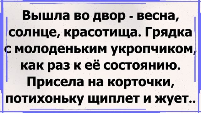 Анекдот Москвичка и УКРОП