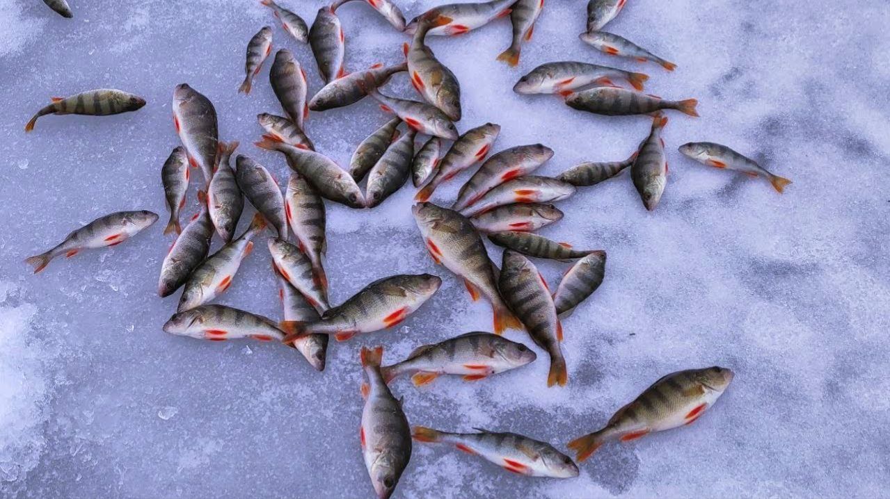 7c42895b22222bb0fd515568a5299cb8