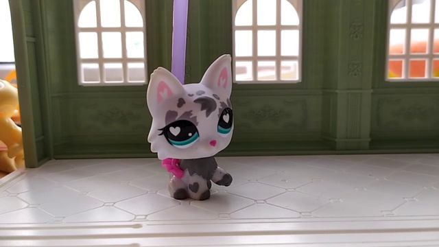 помогите снять мне фильмы с ЛПС или подскажите комментарий