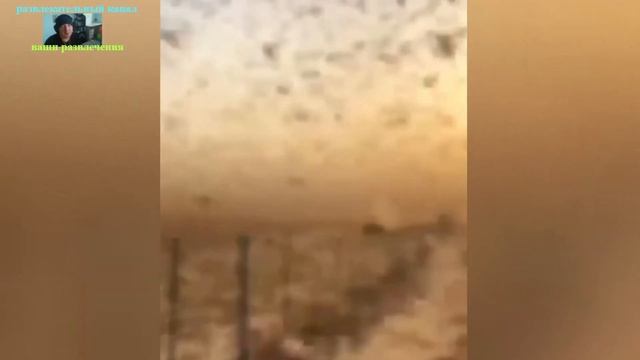 Наводнения катастрофы !!!