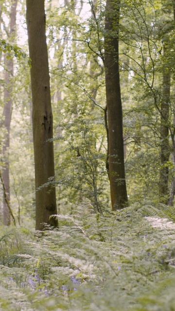 Недовольство собой #осознанность #личность #любовь #мотивация #душа #shorts