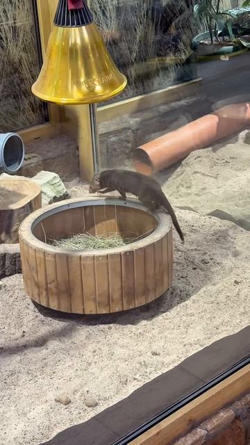 Когда не сразу понял, как пользоваться тренажёром😁