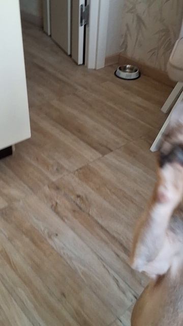 Царство игрушек!😄