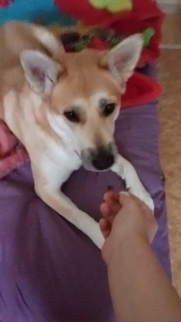 она грибочки ест